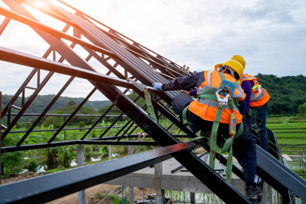 Best Storm Damage Roof Repair  in Buchanan, VA