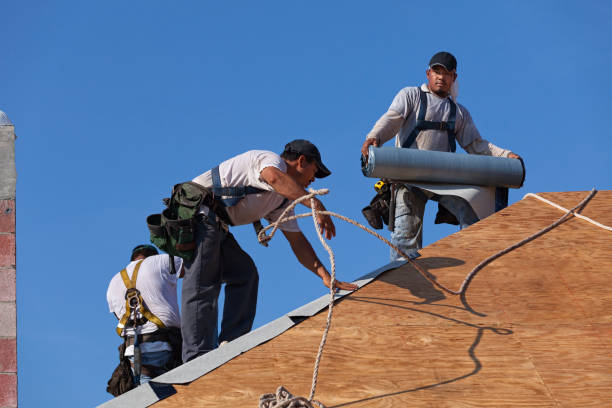 Best Roof Inspection Near Me  in Buchanan, VA