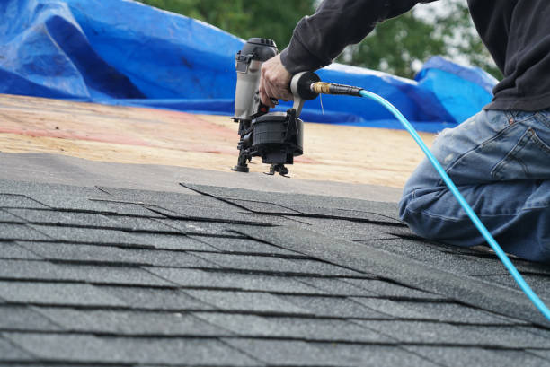 Best Roof Repair Specialists  in Buchanan, VA