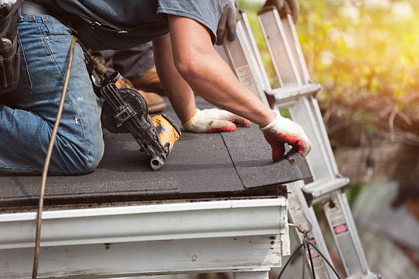 Best Gutter Installation and Roofing  in Buchanan, VA