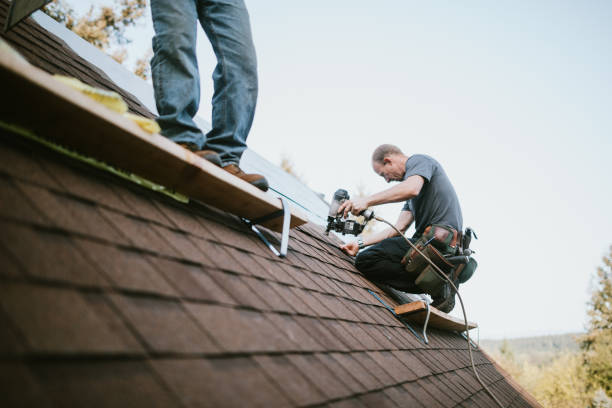 Trusted Buchanan, VA Roofing Contractor Experts