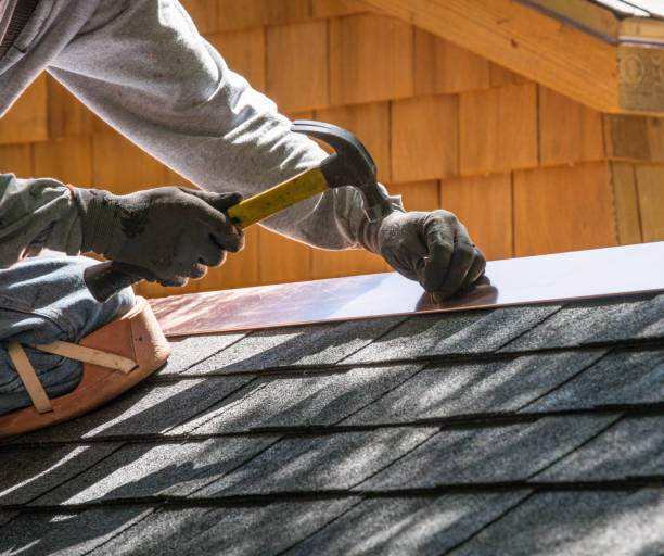 Best Metal Roofing Contractor  in Buchanan, VA